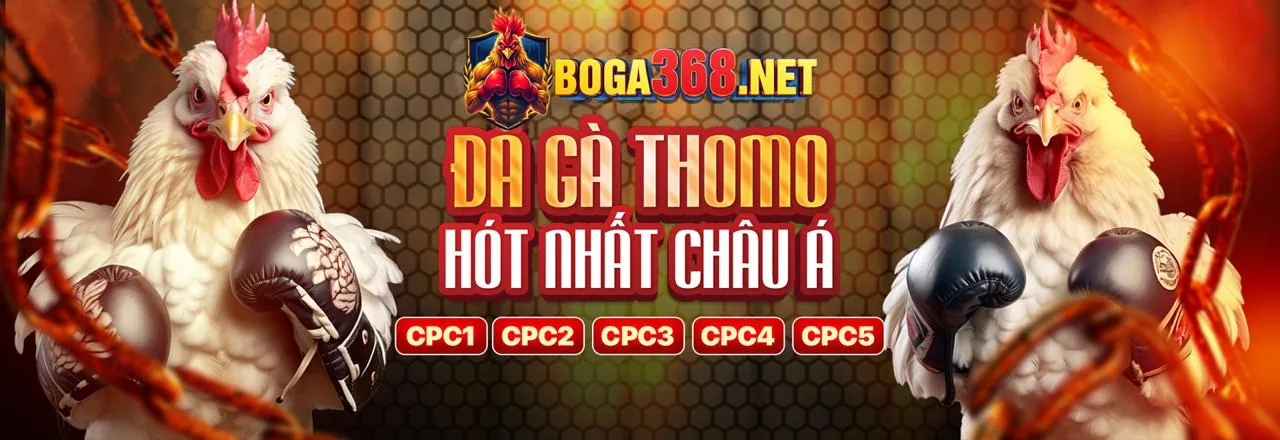 Đá Gà Trực Tuyến cwin05 code